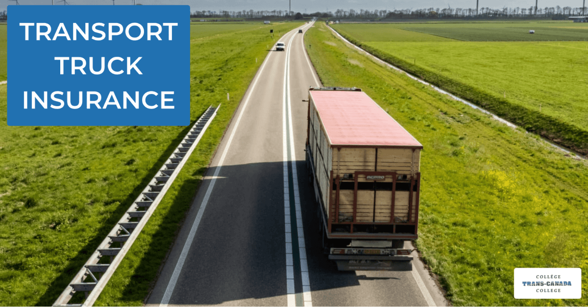 Types of insurance needed for transports